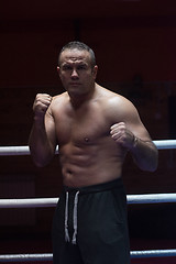 Image showing professional kickboxer in the training ring