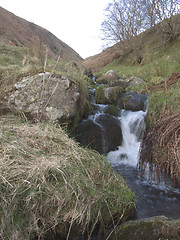 Image showing Stream