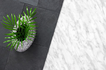 Image showing Palm leaves in a vase on slate stone background