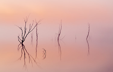 Image showing Simplicity - Sunrise on the lake