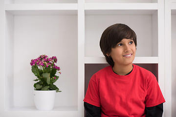 Image showing young boy posing on a shelf