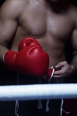 Image showing kick boxer with a focus on the gloves