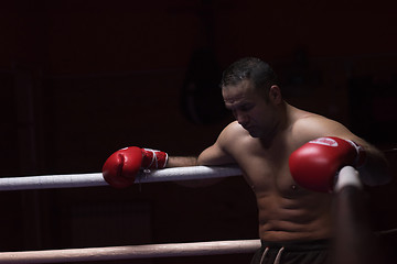 Image showing kick boxer resting on the ropes in the corner