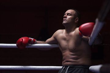 Image showing kick boxer resting on the ropes in the corner