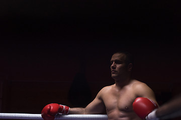 Image showing kick boxer resting on the ropes in the corner