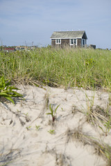 Image showing old beach house in scrub brush Ditch Plains Montauk New York