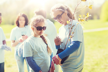 Image showing volunteers family with tree seedling in park