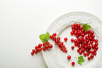 Image showing Redcurrant berries