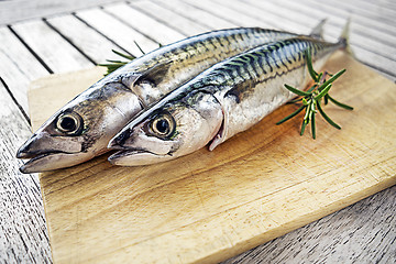 Image showing Fish food