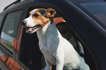 Image showing Dog while looking through car\'s window