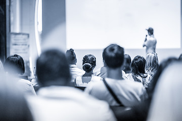 Image showing Business speaker giving a talk at business conference event.