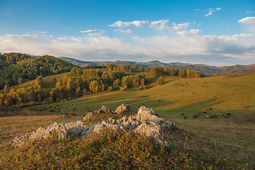 Image showing Beauty dawn in the mountains