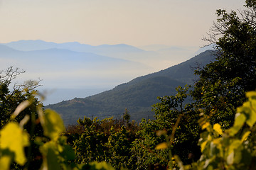 Image showing Small islands in the Ionian sea in Lefkada