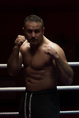 Image showing professional kickboxer in the training ring