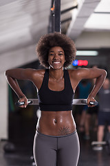 Image showing black woman doing parallel bars Exercise