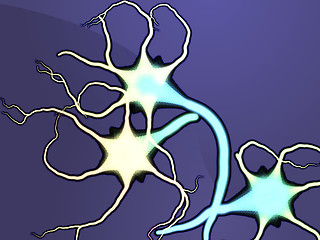 Image showing Nerve cells illustration