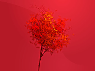 Image showing Autumn tree