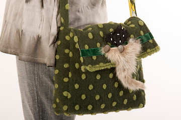 Image showing Handbag with green pattern