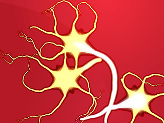 Image showing Nerve cells illustration