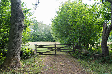 Image showing Vintage wooden gate