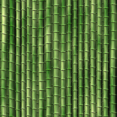 Image showing Bamboo plants