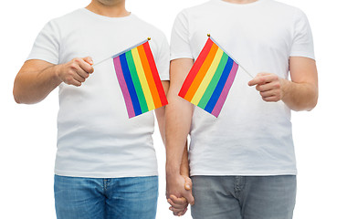 Image showing male couple with gay pride flags holding hands