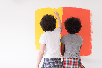 Image showing multiethnic couple painting interior wall