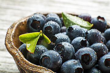 Image showing Blueberries