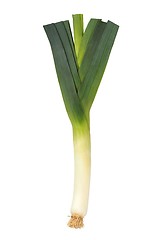 Image showing Leek on White