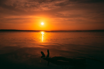 Image showing Glorious sunset