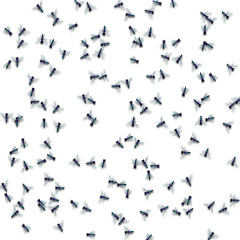 Image showing a white background with lots of flies on it