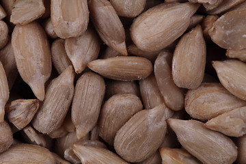 Image showing sunflower seeds texture