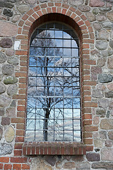 Image showing Tree reflection in a window. Uggeløse church in 2017