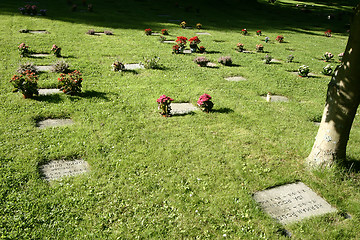 Image showing Graves at Hørsholm kirkegård cemetery in Denmark