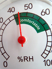 Image showing Thermometer