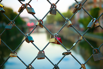 Image showing Small locks of love