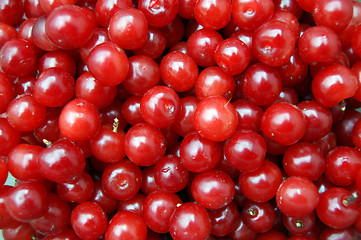 Image showing Background from berries of the cherries