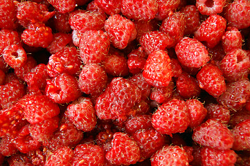Image showing Berry raspberry background
