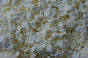 Image showing Milk product pot cheese