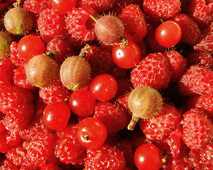 Image showing Berries raspberry,gooseberry and cherry