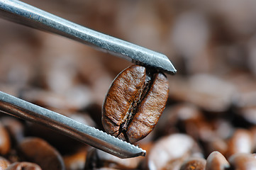 Image showing roasted coffee beans macro with tweezer