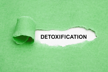 Image showing Detoxification Green Torn Paper Concept