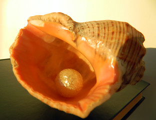 Image showing Pearl