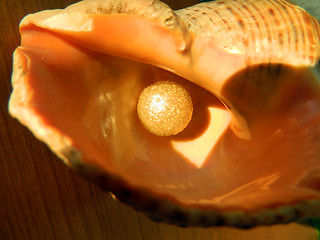 Image showing Pearl