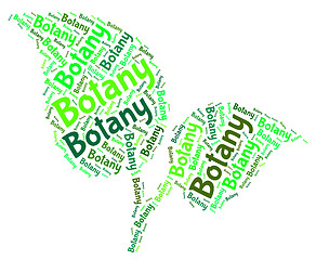 Image showing Botany Word Shows Plant Life And Botanical