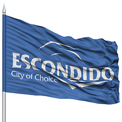 Image showing Escondido Flag Flag on Flagpole, USA