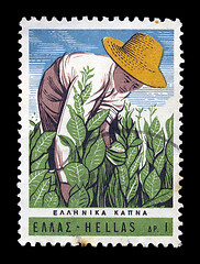 Image showing tobacco harvest vintage postage stamp