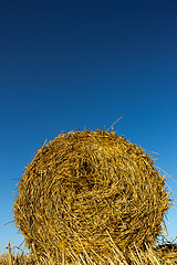 Image showing Hay roll from low angle