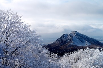 Image showing Frosty Snowy Hills