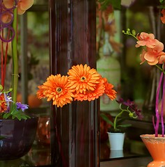 Image showing Storefront of Flowers Shop 